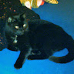 Meet your Posher, Barbara